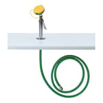 View Model 8904: AXION® MSR Deck Mount Eye/Face Wash 